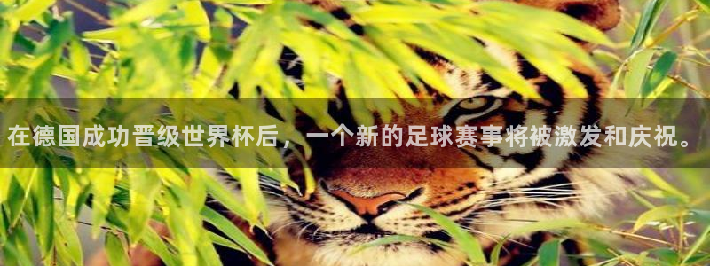 足球世界杯2026年赛程时间表:在德国成功晋级世界杯后,一个新的足球赛事将被激发和庆祝。