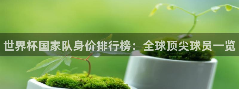 世界杯 2026:世界杯国家队身价排行榜:全球顶尖球员一览