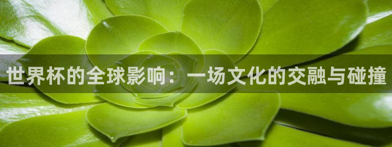 2026世界杯赛制:世界杯的全球影响:一场文化的交融与碰撞