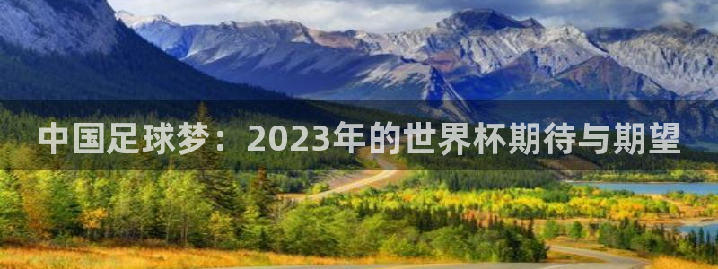 世界杯视频:中国足球梦:2023年的世界杯期待与期望