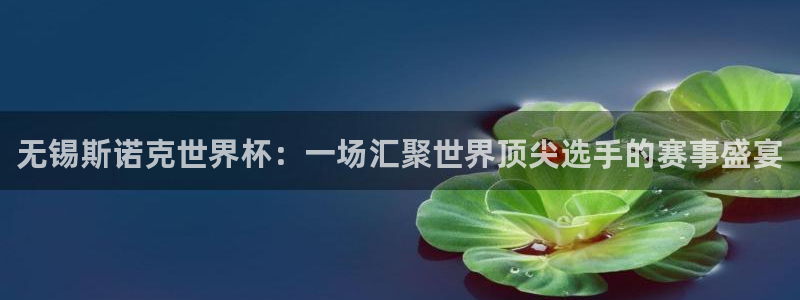 国际足联世界杯:无锡斯诺克世界杯:一场汇聚世界顶尖选手的赛事盛宴