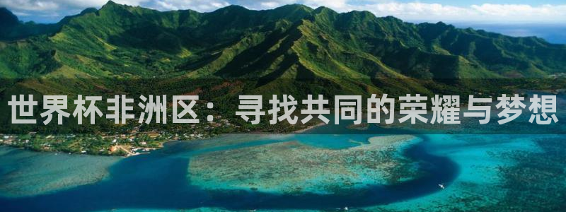 世界杯球赛:世界杯非洲区:寻找共同的荣耀与梦想