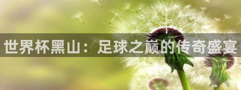 世界直播:世界杯黑山:足球之巅的传奇盛宴