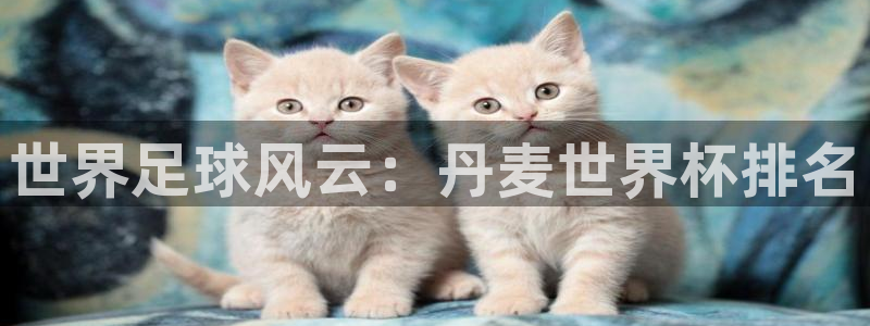 2026年世界杯时间表:世界足球风云:丹麦世界杯排名
